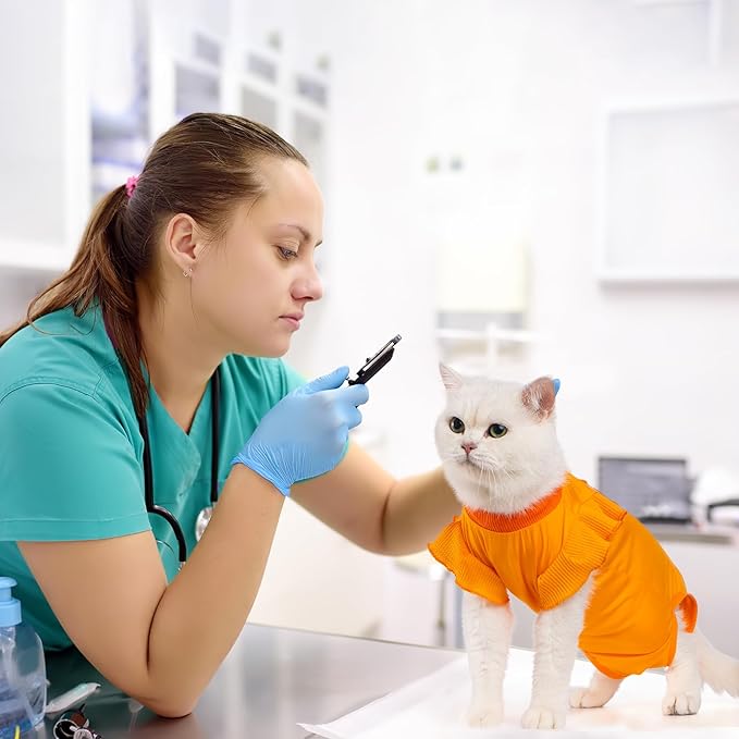 Avont Cat Recovery Suit - Post-Surgery Onesie for Cats, Alternative to Cone of Shame, Protective Spay Suit for Female Kitten, Ideal for Healing and Skin Conditions -Orange(L)