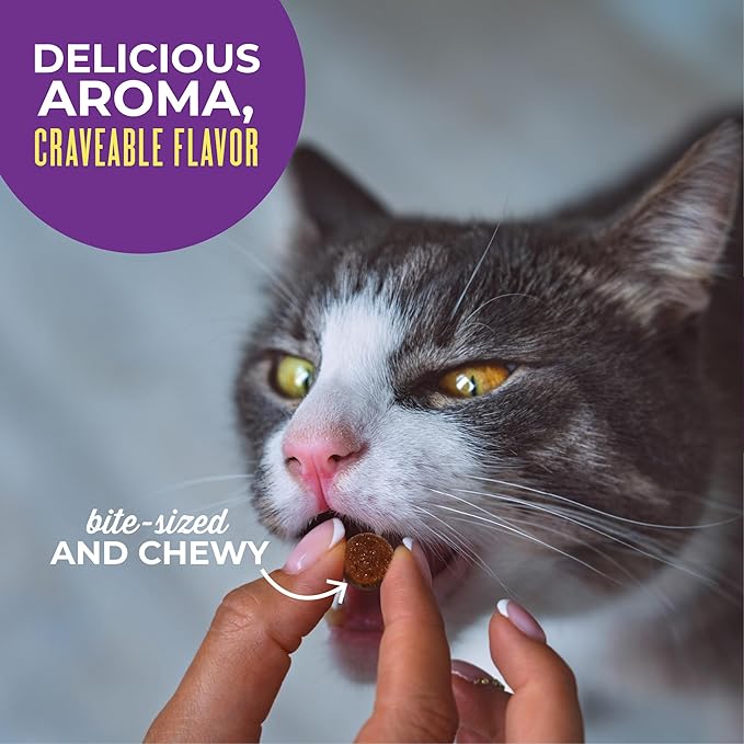 Tiki Cat Soft & Chewy Grain Free Dry Cat Treats, Chicken, 2 oz. Pouch (8 Count)