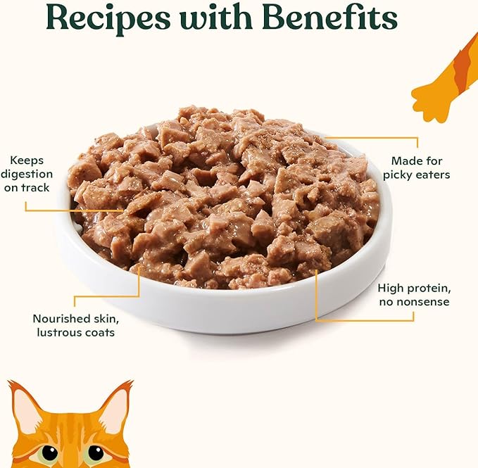 Made by Nacho Sustainably Caught Salmon & Sole Recipe with Bone Broth Minced Wet Cat Food, 3-oz can, Case of 6