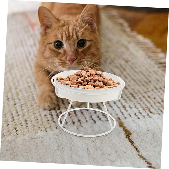 Raised Cat Bowl Food Feeding Station Slow Eating Ceramic Cat Dish with Elevated Stand Pet Feeder for Small and Kittens