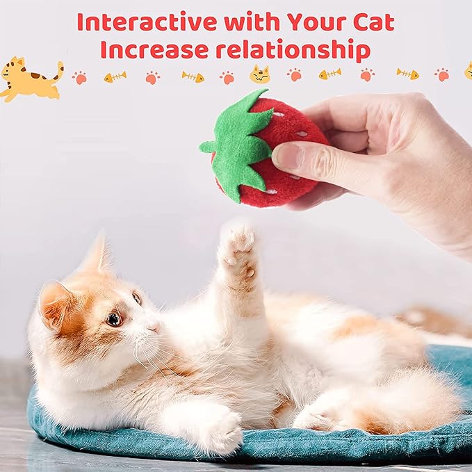 Catnip Toys for Indoor Cats 10 Pcs Small Plush Toys with Catnip Kitten Stuffed Toy