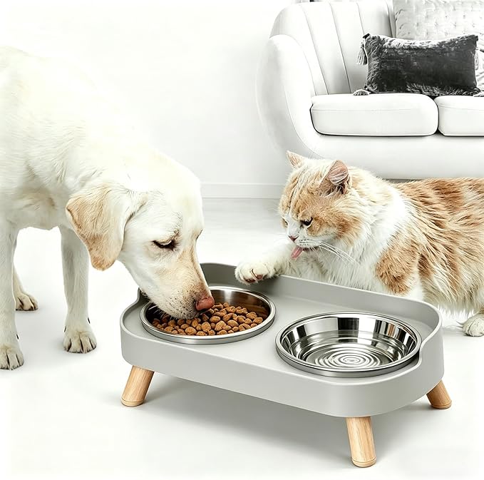 Elevated Cat Bowls, 2 Stainless Steel Raised Cat Food and Water Bowl Set, Splash Proof & Non-Slip, Whisker Fatigue Friendly, Dishwasher Safe for Cats and Small Dogs - Gray