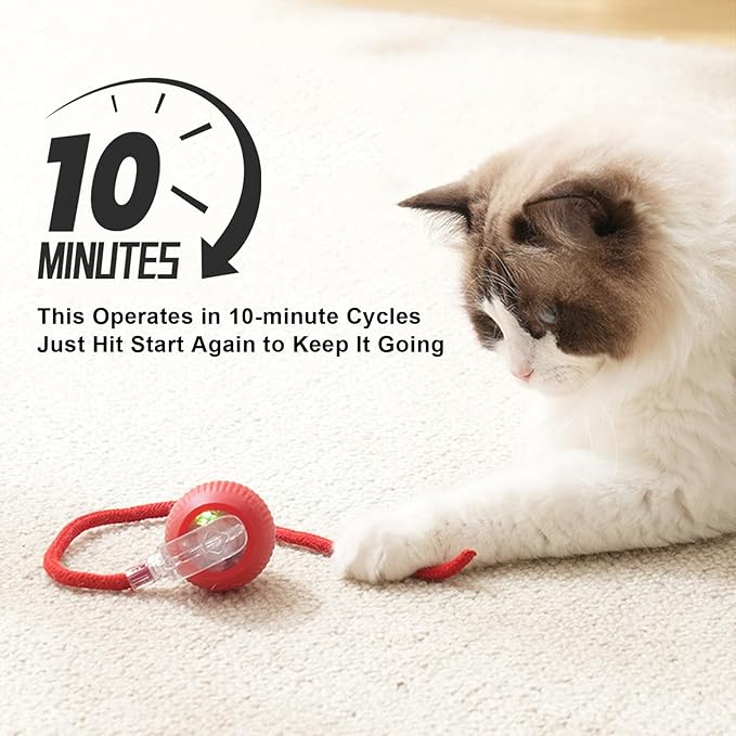 Goosheep 2025 New 2Pack Cat Ball Kitten Toys for Indoor Interactive Kitty Ball Toy Speedy Tail 360° Automatic Rolling for Dog, Cat(Red Grey)