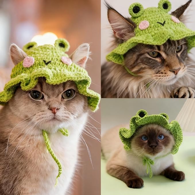Frog Cat Hats,Cute Cat Caps Bonnet, Soft Cats for Kittens & Small Dogs,Outfits for Cats Cat Sombrero Perfect for Birthday Halloween Christmas Costume (Frog)