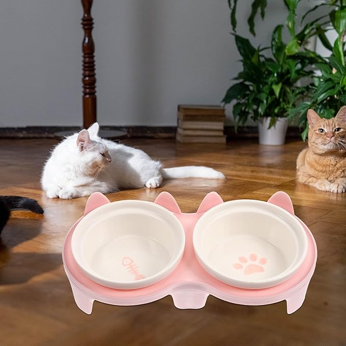Abaodam Elevated Ceramic Cat Bowl Set with Thick Pink Double Bowls and Sturdy Stand, Anti-Vomit Raised Feeding and Watering Kit for Indoor Cats and Kittens