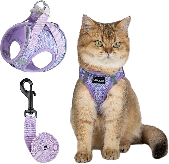 Arblina Soft Mesh Cat Harness and Leash Set for Walking,Escape Proof No Choke Step in Kitten Vest Harness,Reflective Ajustable Puppy Vest for Traveling
