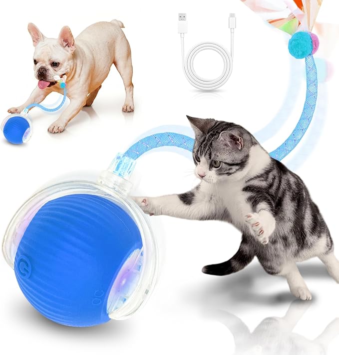 Interactive Cat Toys for Indoor Cats Smart Automatic Ball Rolling for Bored Kitten Pet Upgraded Speedy Moving Chase Dogs Toy Mothers Day Gifts Blue Dragonfly