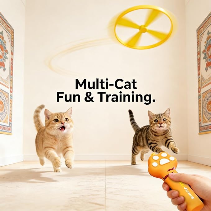 Cat Fetch Toy Launcher with 10 Soft & Flexible Discs, Cat Toys for Indoor Cats, LED Glowing Launcher, Electric Interactive Kitten Toy for Hunting & Exercise, USB Rechargeable