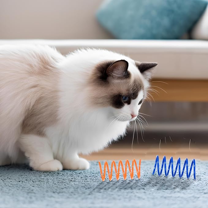100 Pack 10 Colors Cat Spring Toys, Plastic Spiral Spring Cat Toys for Indoor Cats, Colorful Interactive Toy for Kittens, Cat Exercise Toys for Active Play