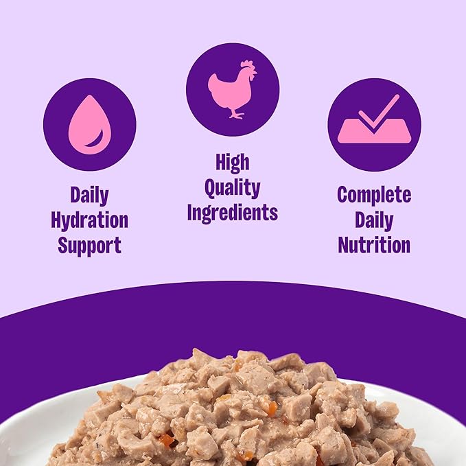 Wellness Complete Health Pate Adult Canned Wet Cat Food, Natural, Protein Rich, Grain Free, Chicken Entrée Recipe, 5.5 oz, Pack of 24 Cans