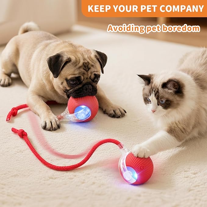 Interactive Cat Toys for Indoor Cats Smart Automatic Ball Rolling for Bored Kitten Pet Upgraded Speedy Moving Chase Dogs Toy Mothers Day Gifts Red Dragonfly