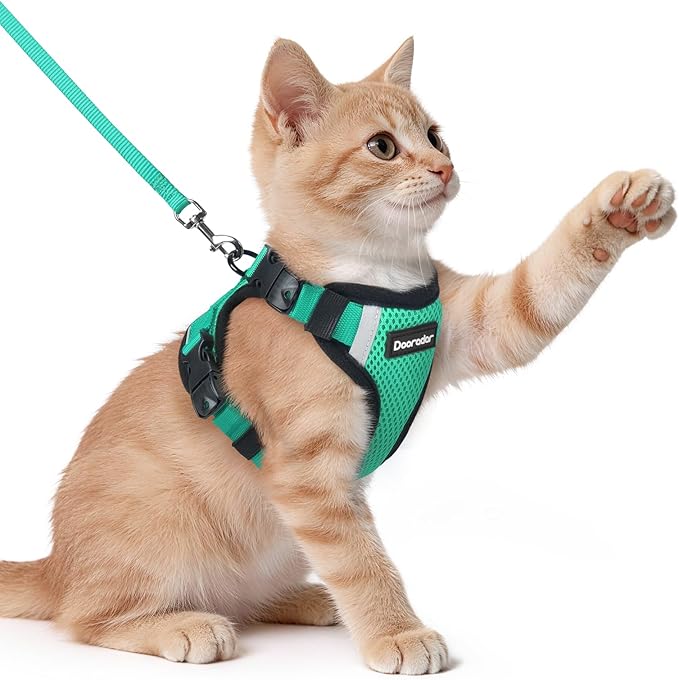 Dooradar Cat Harness and Leash Set, Escape Proof Soft with 3 Adjustable Buckles, Comfortable Vest Easy to Wear Kitten Harness with Reflective Strip, Safe for Outdoor Walking, Cyan Green, XS