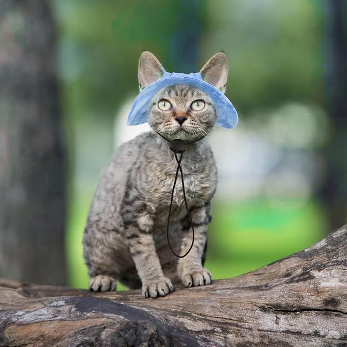 QBLEEV Cat Hats for Cats Only, Sphynx Hat with Ear Hole, Hairless Cat Cowboy Hats for Birthday Party Halloween, Kitten Headwear Sun Sombrero Caps, Chihuahua Sunscreen Baseball Outdoor Climbing Cap