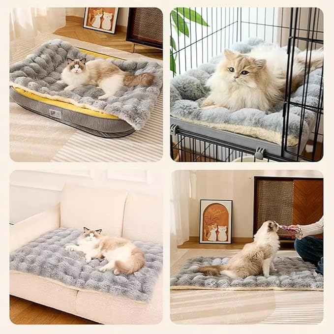 Dog Bed Mat,Furniture Pet Sofa Mat for Dogs Cats, Winter Beds Pet Cat Floor Pad Soft Sleep Pad for Dog Kitten Soft Sleeping Dog (Orange, M)