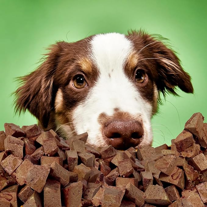 Freeze Dried Beef Liver Raw Nutrition Dog & Cat Treats - Healthy Snacks, Food Topper. Weight Control, Training Bites, High Protein (2 Ounce, Beef Liver)