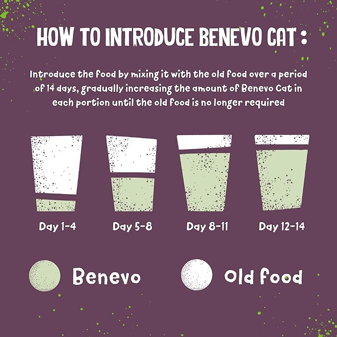 Benevo Vegan cat Food for Adult Cats 2kg. Holistic, Meat-Free, Complete, Non-gm Dry Food Kibble for Your cat. Award Winning Vegan pet Food Made in the UK.