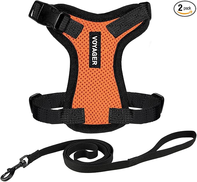 Voyager Escape-Proof Step-in Lock Cat Harness & 5ft Neoprene-Handle Leash Set All-Weather Mesh with Reflective Stitching for Small to Large Cats by Best Pet Supplies, Orange/Black Trim, XXXS