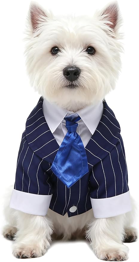 GabeFish Pets Wedding Jackets Suit for Dogs with Bow Tie Puppy Cat Formal Clothes Shirt Tuxedo (BlueStriped, XL (Chest 18.8in/48cm)