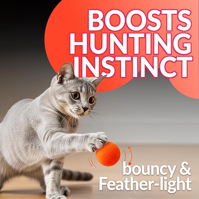 HA SHI [800pcs in Sturdy Jar] Interactive Cat Toy Pom Poms - Small Soft Plush Balls (0.39in-1.2in) for Indoor Kittens, Quiet Night Play, Snuffle & Fetch Toys