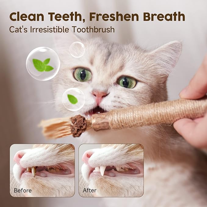 Potaroma 3 Pack Natural Silvervine Sticks Cat Toys, Catmint Silvervine Blend Sticks, Catnip Kittens Chew Toys Teeth Cleaning, Matatabi Dental Care Cat Treat Edible Kitty Lick Toys, Package May Vary