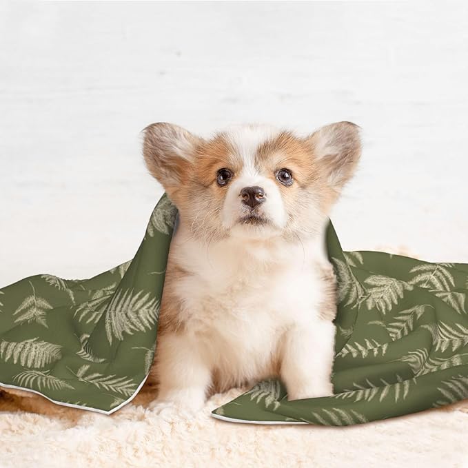 Cat Dog Blanket Cream Fern Sketches On Olive Green Ultra Soft Warming Mat for Indoor Pet Beds Furniture 27.6 X 19.7inch