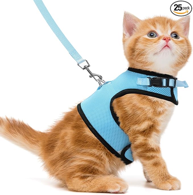 PUPTECK Soft Mesh Cat Vest Harness and Leash Set Puppy Padded Pet Harnesses Escape Proof for Cats Small Dogs, Blue Medium