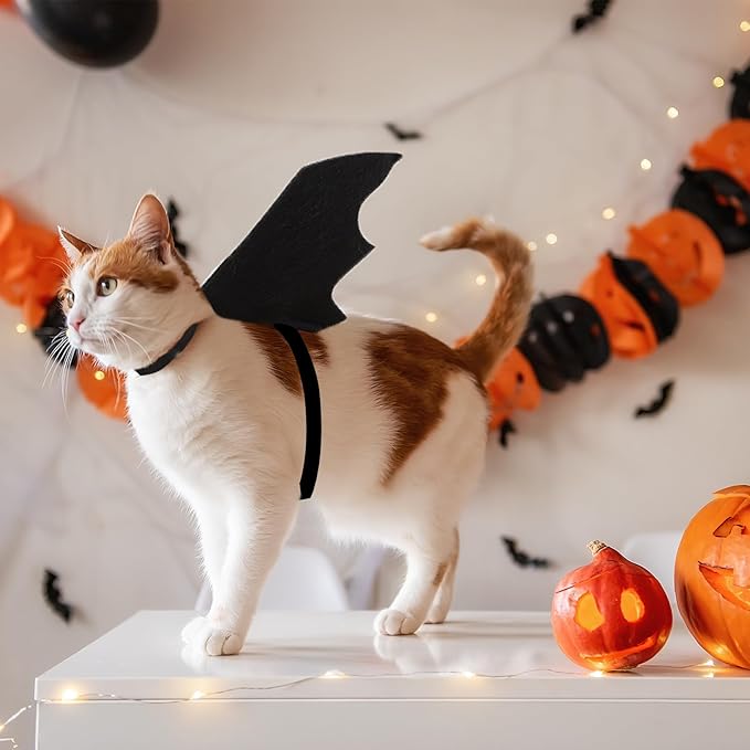 Cat Bat Wings Cat Bat Costume Cats Halloween Costumes Cute Bats Wings for Cats Kitten Halloween Costume Kitten Bats Wing Pet Halloweens Dress Up Accessories,Black S