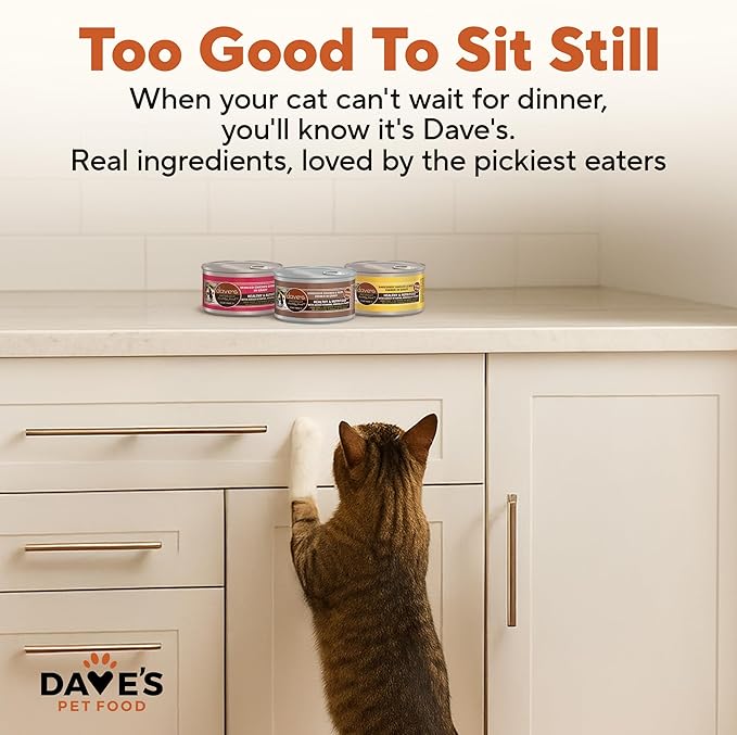 Dave's Pet Food Naturally Healthy Minced & Shredded Chicken in Gravy Variety Pack Grain-Free Wet Cat Food, 2.8-oz can, Case of 12