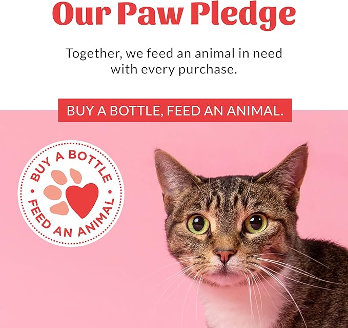 SKOUT'S HONOR Probiotic Cat Shampoo & Conditioner with Avocado Oil & Omega-3s, 97% Natural, Paraben & Sulfate-Free, Cruelty-Free, Defend Against Itch, Dryness, Irritation, 16oz, Honeysuckle