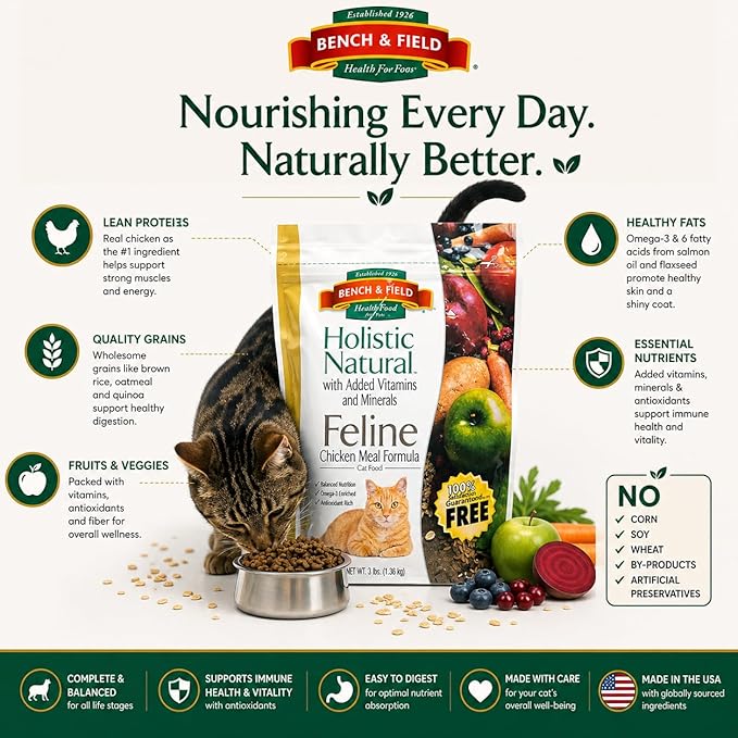 Bench & Field Holistic Premium Dry Cat Food, Chicken Meal & Brown Rice Recipe, Made Without Corn, Wheat, or Soy, All Life Stages, 3 lb Bag (Pack of 1)