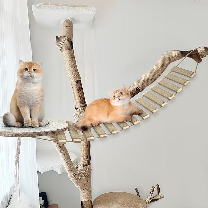40in Cat Climbing Ladder & Bridge - Multi-Functional DIY Cat Wall Furniture with Sisal Rope for Indoor/Outdoor Cats, Parrots, and Small Pets (Wood Tone, L-40in)