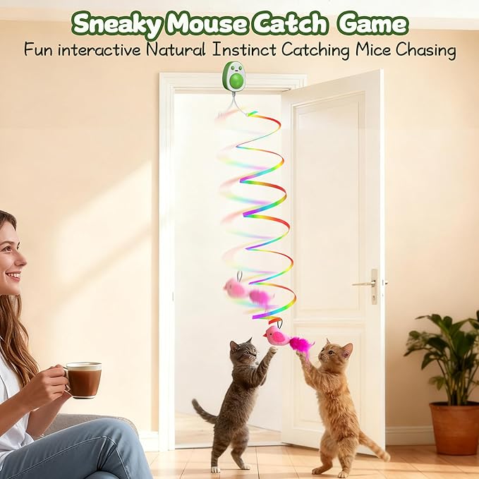 Hanging cat Toys