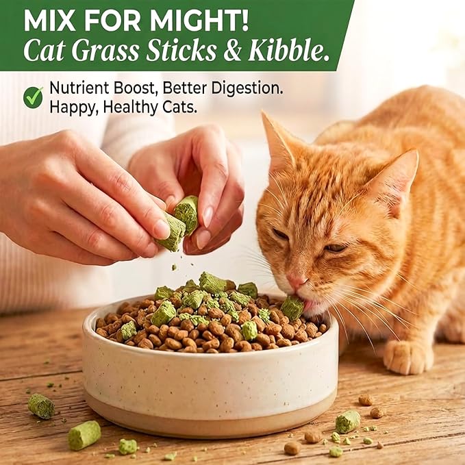 6Pcs Cat Toys Cats Grass Treat for Indoor Cat Edible Grass Kitten Toys Kitty Chew Grass Sticks for Teeth Kitten Snack