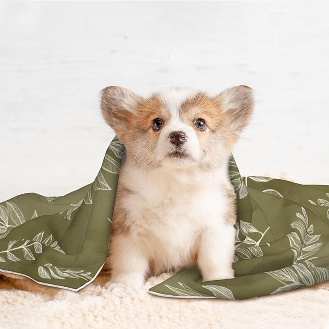 Cat Dog Blanket Cream Leaf Outlines On Olive Green Ultra Soft Warming Mat for Indoor Pet Beds Furniture 27.6 X 19.7inch
