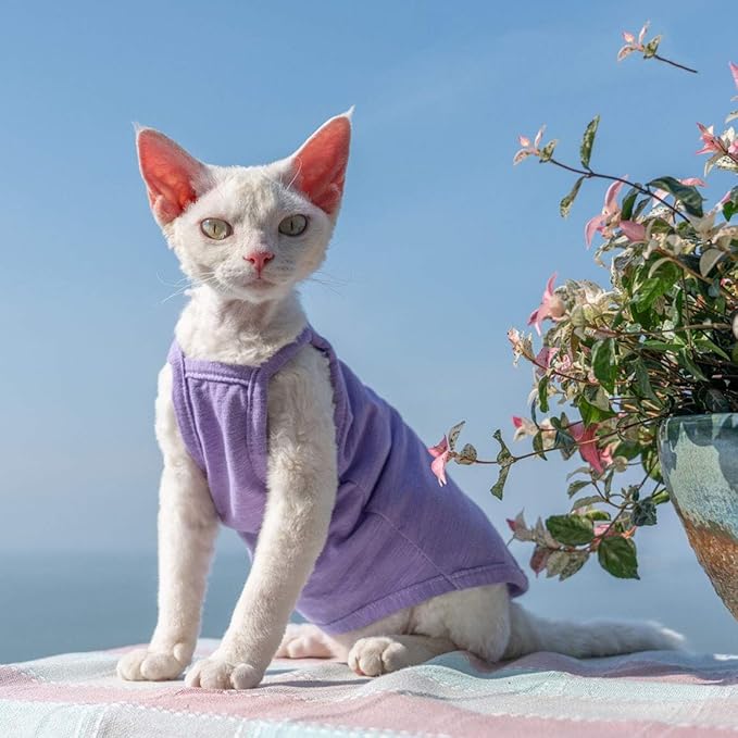 Hairless Cats Solid Cotton Camisole, Breathable Summer Tank Tops for Sphynx, Cornish Rex, Devon Rex, Peterbald, Cat Wear Hairless Cat Clothes Soft Skin-Friendly Cats Apparel Assorted Colors and Sizes