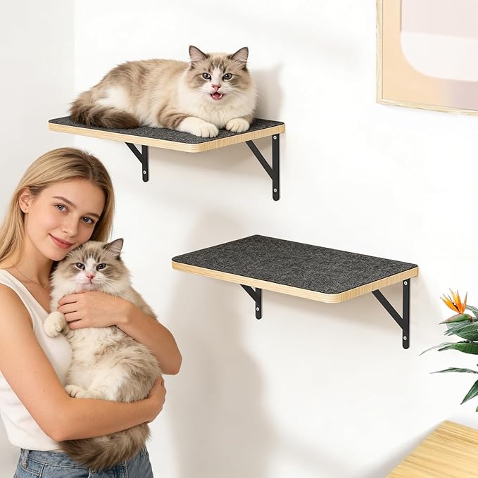 Cat Wall Shelves, 17 x 10 Inch Cat Walls Furniture, Wood Floating Shelf with Upgraded Installation, Kitten Wall Tree for Sleeping, Playing Climbing and Scratching