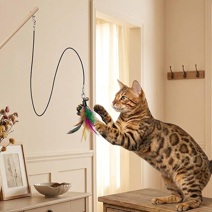 Molain 3 Pcs Cat Wand Toy Replacement Strings, 25 Inch Long Cat Toy String Cat Toy Wire with Lobster Clasps for All Lures Cats Stick