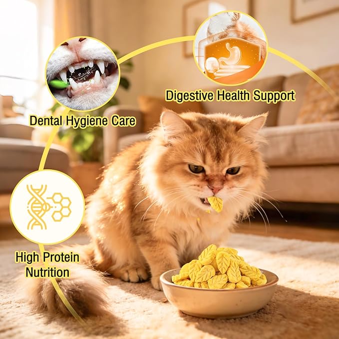 50g Pumpkin Cat Treats, Chicken Cat Treats for Digestive Support and Teeth Cleaning, Edible Kitten Snack