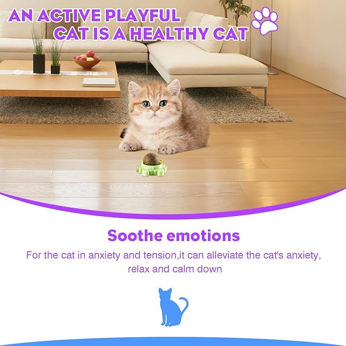 Catnip Balls for Indoor Cats 4 Pack Wall Mounted Rotatable Cat Toys Teeth Cleaning and Stress Relief Adhesive Catnip Stick on Wall Toys Interactive Chew for Kittens Play Entertainment