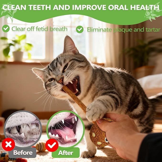 Silvervine Sticks for Cats (5-Pcs), Catnip Lollipop Cat Toy for Indoor Cats, Natural Cat Chew Toys for Kitten Teething and Teeth Cleaning
