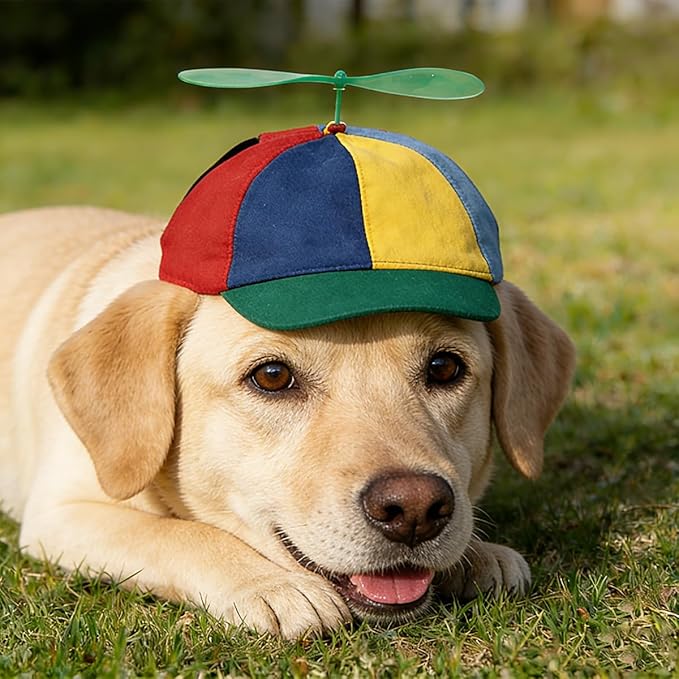 Pet Propeller Hat Cat Dog Colorful Pet Sun Protection Adjustable Baseball Cap Rainbow Pet Spinner Hat Funny Puppy Kitty Baseball Cap