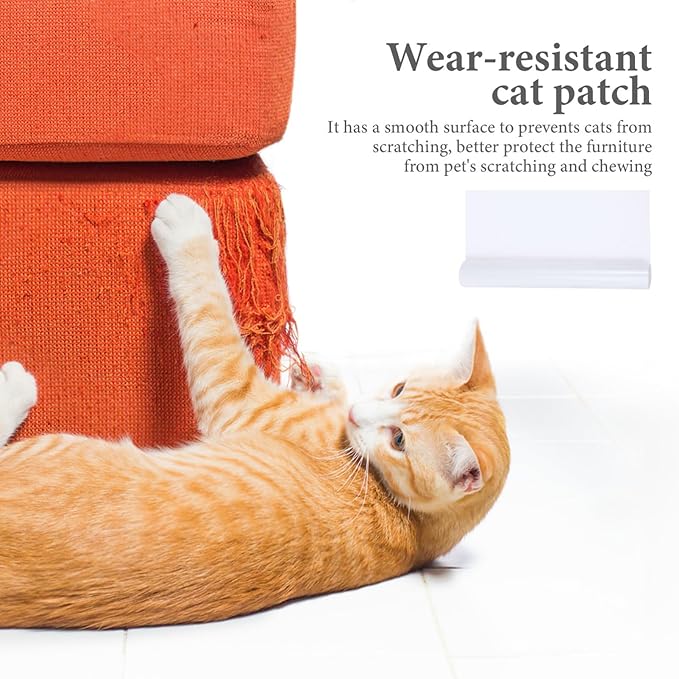 BESPORTBLE 1set Thickened Cat Scratch Furniture Protector Self-Adhesive Removable Film for Sofa Couch Bed Door Kit Scraper Fasteners Daily Use Cat Supplies