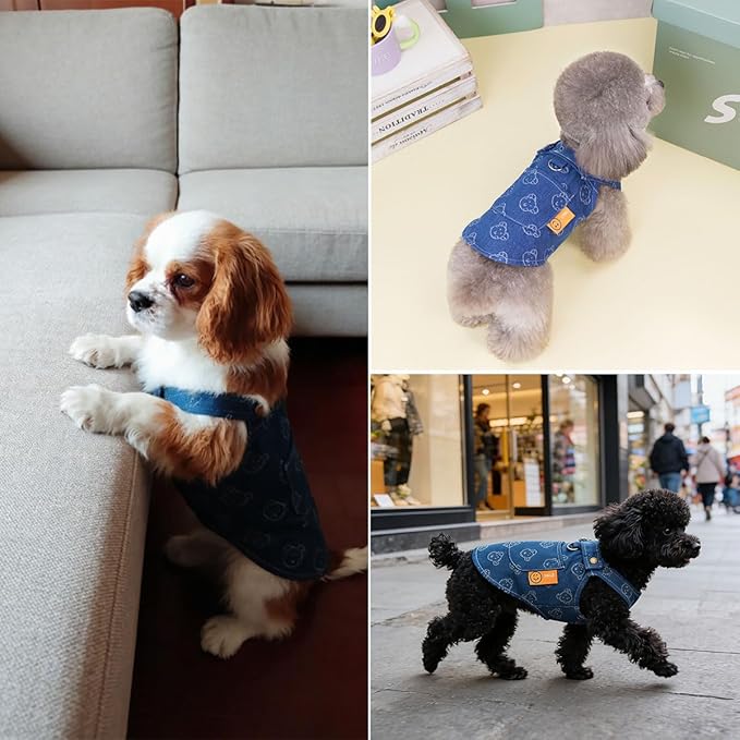 Walking-Ready Pet Jeans - Breathable Denim with D-Ring & Snap Buttons | Matching Bear Outfits for Dog & Cat Couples | Machine Washable (S-XL) (Medium, Jacket with Bear)