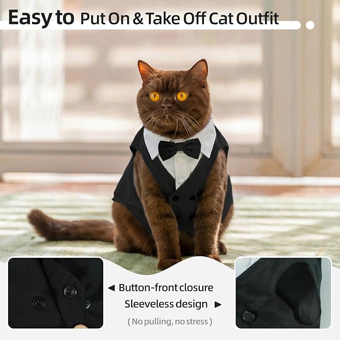 QBLEEV Cat Tuxedo Outfit, Sphynx Cat Costume for Cats Only, Formal Kitten Clothes Attire Suit with Bow Tie, Stylish Birthday Wedding Party Photo Shoots Costume for Male Female Cats, M, Black