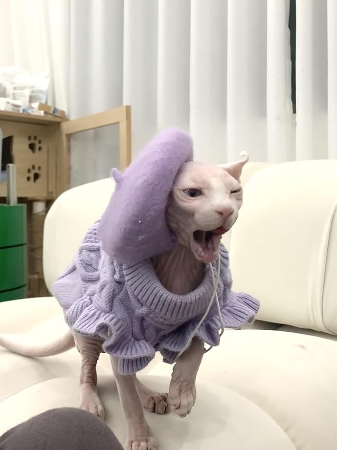 Dog Beret Hats for Cats and Dogs Fashion Four Seasons Funny Wool Winter Pet Hat Light Purple 5.11 * 1.18 Inches
