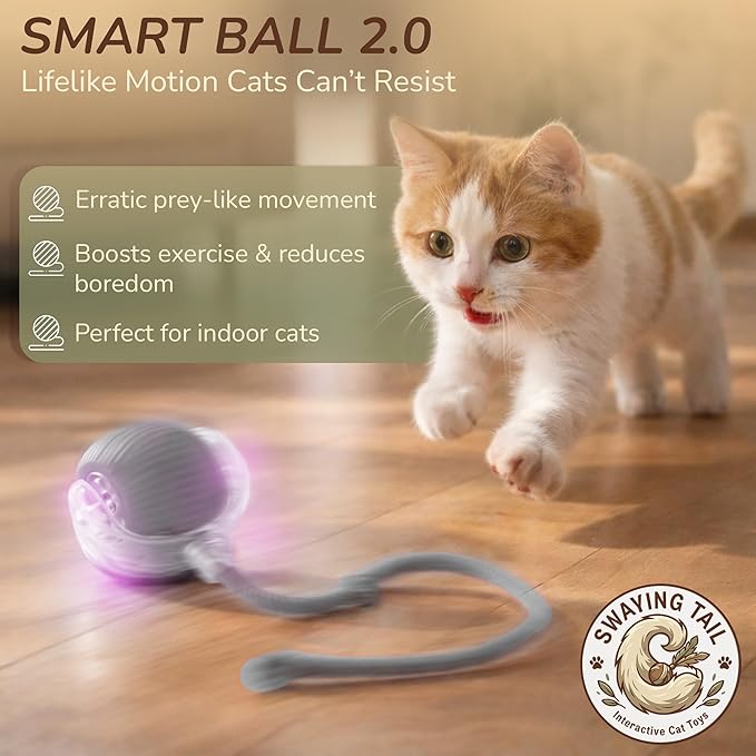 Smart Ball 2.0 - Automatic Cat Toy & Interactive Dog Toys for Small Dogs - Moving Cat Toy Ball for Indoor Cats - Motion Activated, Light Up, USB-C Rechargeable Pet Toy, 2 Speed Modes [Gray]