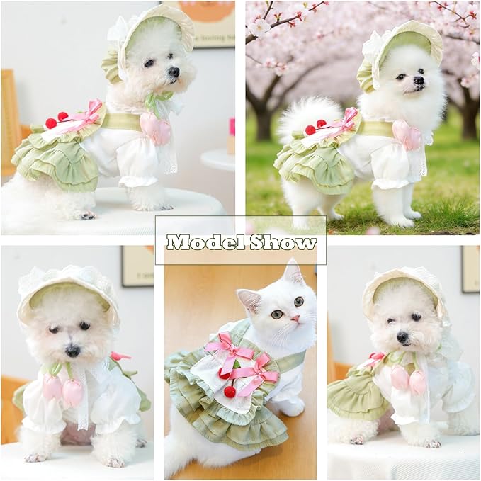 2 Pcs Pet Floral Dress and Lace Sunhat, Summer Skirt with Laces for Dog, Cute Bowknot Dresses for Cat, for Birthday Party and Outdoor Travel (Green, Medium)