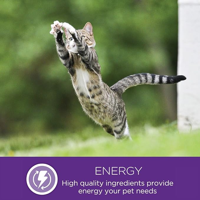 Wellness 4 Pack of Tuna & Cranberries Kittles, 2 Ounces Each, Crunchy Natural Grain-Free Cat Treats