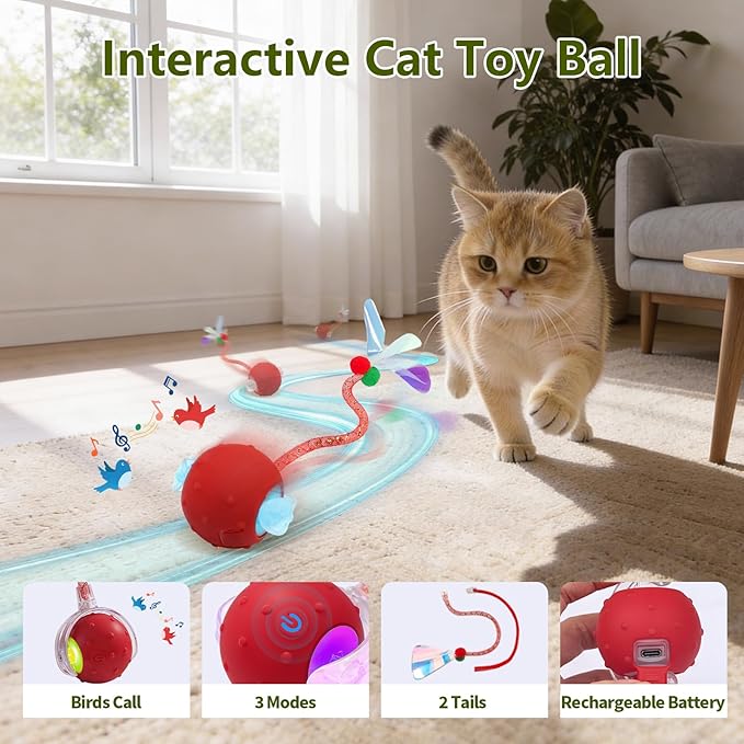 Interactive Cat Toy Ball Fast Rolling in Collapsible Cat Tunnel - 3 Speed Motion Activated, Auto Standby, Hide & Seek Hunting Toy for Indoor Cats & Kittens, USB Rechargeable, Boredom & Anxiety Relief