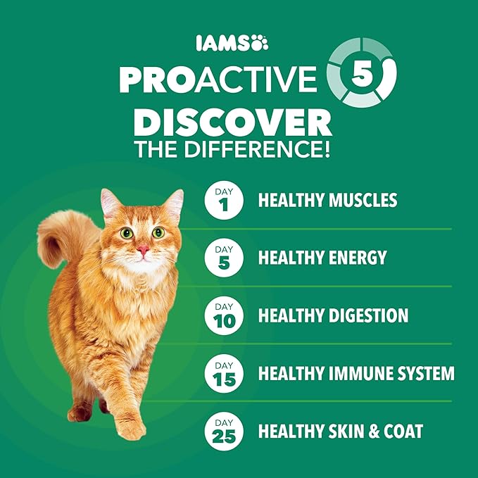 IAMS Proactive Health Senior Dry Cat Food, Cat Food Dry Chicken Recipe, Real Chicken in Every Bite, 7 lb. Bag